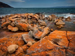 TASMANIA Freycinet National Park